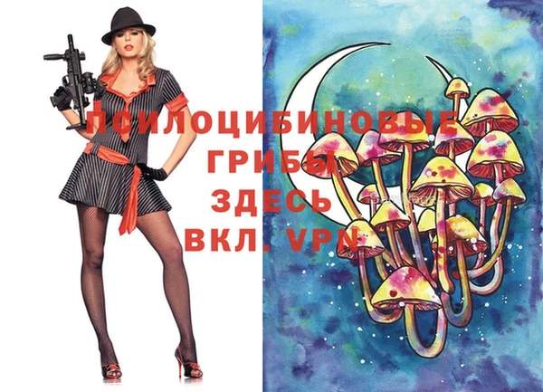 бутират Алексин
